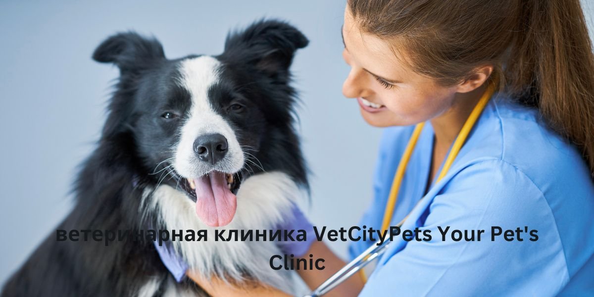 ветеринарная клиника VetCityPets